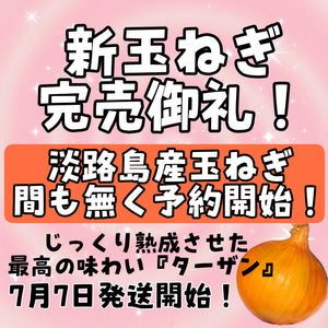 2025年新玉ねぎ完売御礼！