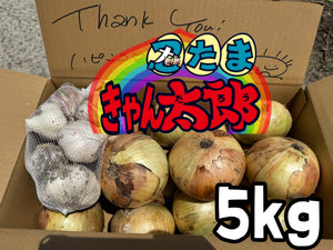 にんたまきゃん太郎販売!
