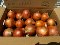 【完売御礼】 3kg 淡路島産玉ねぎ「にじたま」 (約8個)