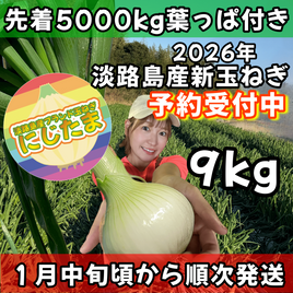 【予約】９kg淡路島産新玉ねぎ「にじたま」  (約30個)