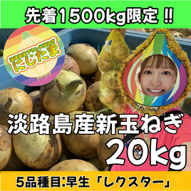 20kg淡路島産新玉ねぎ「にじたま」  (約50個)