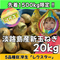 20kg淡路島産新玉ねぎ「にじたま」  (約50個)