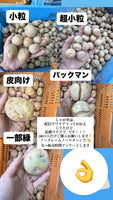 【数量限定】新じゃが３ｋｇ単品