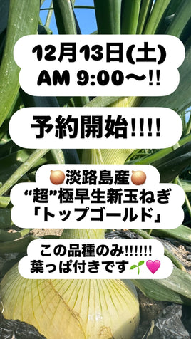 【予約】2.5kg 淡路島産新玉ねぎ「にじたま」 (約8個)