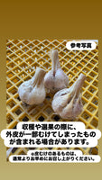【数量限定】にんじゃがセット