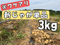 【数量限定】新じゃが３ｋｇ単品