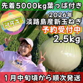 【予約】2.5kg 淡路島産新玉ねぎ「にじたま」 (約8個)
