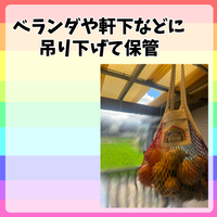 NEWハピニコ野菜保存BAG