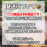 【予約】4.5kg 淡路島産新玉ねぎ「にじたま」  (約15個)