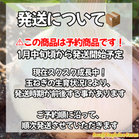 【予約】数量限定‼︎新玉ねぎの『葉』（ご家庭用・10-15本）