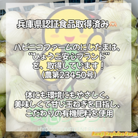 【完売御礼】10kg淡路島産玉ねぎ「にじたま」  (約25個)