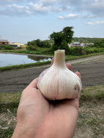 【数量限定】にんじゃがセット
