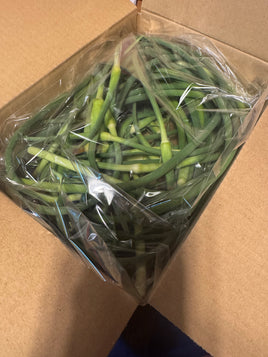 【スパサブ限定】ニンニクの芽　500g