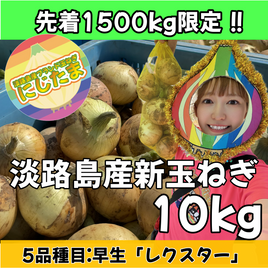 10kg淡路島産新玉ねぎ「にじたま」  (25個前後)