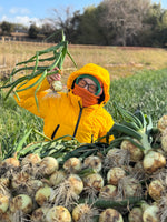 【予約】4.5kg 淡路島産新玉ねぎ「にじたま」  (約15個)