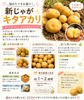 【数量限定】にんじゃがセット