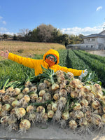 【予約】4.5kg 淡路島産新玉ねぎ「にじたま」  (約15個)