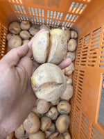 【数量限定】新じゃが３ｋｇ単品