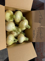 【最短翌日出荷‼】2.5kg 淡路島産新玉ねぎ「にじたま」 (約8個)