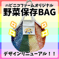 NEWハピニコ野菜保存BAG
