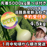 【予約】4.5kg 淡路島産新玉ねぎ「にじたま」  (約15個)
