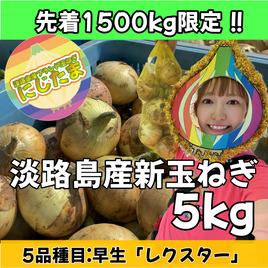 5kg淡路島産新玉ねぎ「にじたま」  (約15個)