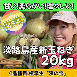 20kg淡路島産新玉ねぎ「にじたま」  (約50個)