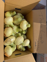 【最短翌日出荷‼】4.5kg 淡路島産新玉ねぎ「にじたま」  (約15個)