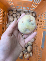 【数量限定】新じゃが３ｋｇ単品
