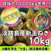 10kg淡路島産新玉ねぎ「にじたま」  (25個前後)