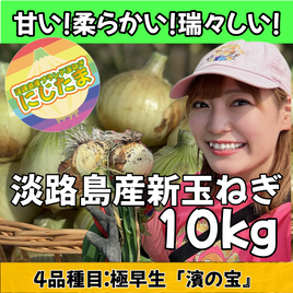 10kg淡路島産新玉ねぎ「にじたま」  (約25個)