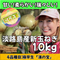 10kg淡路島産新玉ねぎ「にじたま」  (約25個)