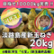 20kg淡路島産新玉ねぎ「にじたま」  (約50個)