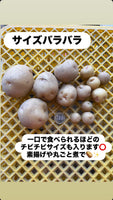 【数量限定】にんじゃがセット