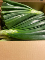 【予約】数量限定‼︎新玉ねぎの『葉』（ご家庭用・10-15本）