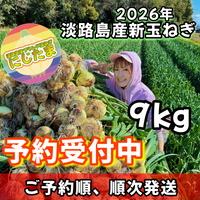 【最短翌日出荷‼】９kg淡路島産新玉ねぎ「にじたま」  (約30個)