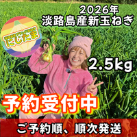 【予約】2.5kg 淡路島産新玉ねぎ「にじたま」 (約8個)