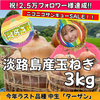 3kg 淡路島産玉ねぎ「にじたま」 (約8個)