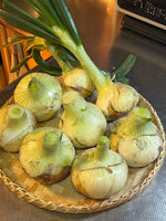 【予約】4.5kg 淡路島産新玉ねぎ「にじたま」  (約15個)