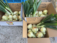 【予約】2.5kg 淡路島産新玉ねぎ「にじたま」 (約8個)