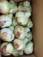 【予約】4.5kg 淡路島産新玉ねぎ「にじたま」  (約15個)