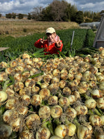 【予約】4.5kg 淡路島産新玉ねぎ「にじたま」  (約15個)