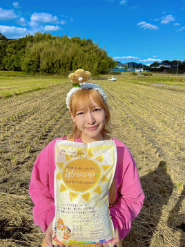 完売御礼‼︎【10kg】淡路島産ヒノヒカリ 新米 「米Happy」
